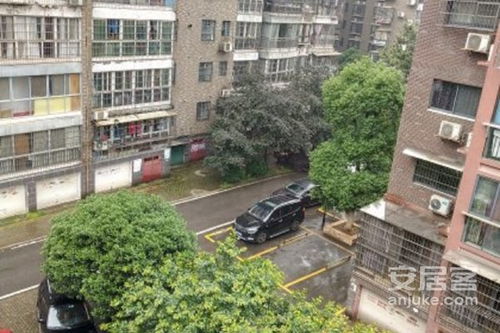 株洲順鑫佳園深度解析 優(yōu)點、不足與周邊房產(chǎn)經(jīng)紀評價